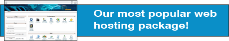 Web Hosting Basic